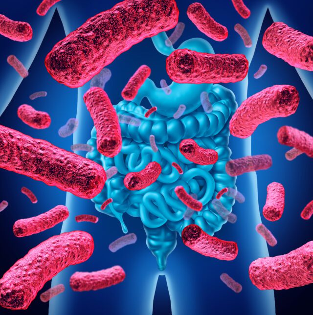 Intestine Bacteria