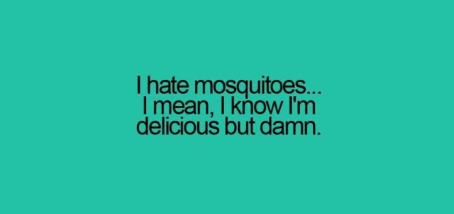 Hate mosquitoes away