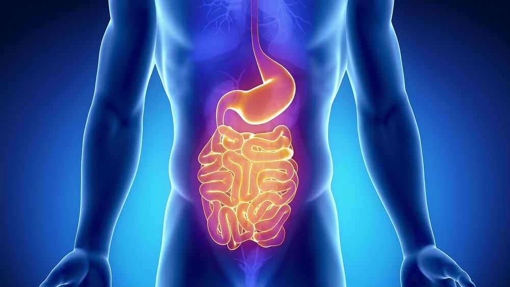 Got a Rumble in Your Tum? Take a Look at the Top 10 Digestive Issues