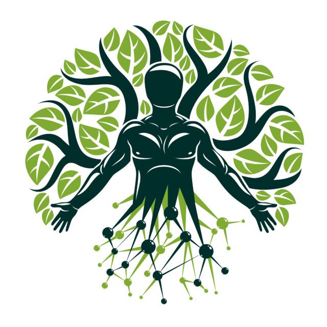 Vector graphic illustration of muscular human created with wiref