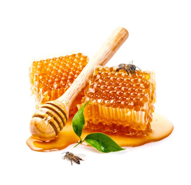 Honeycomb with bee and honey dipper isolate on white banner back
