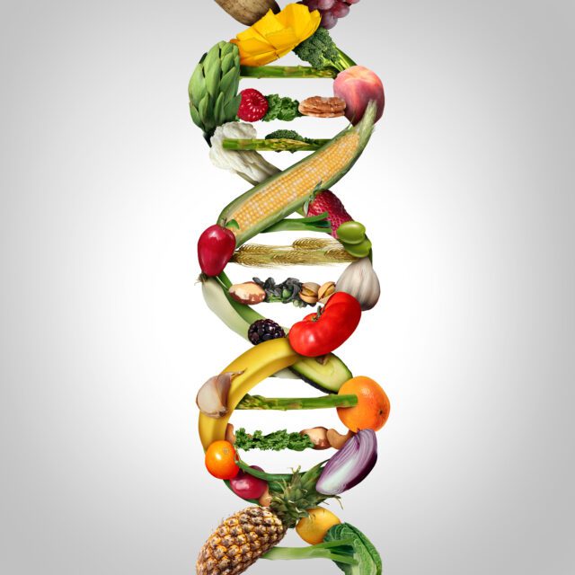 GMO Food
